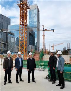 賴海標到桂南分公司承建項目調(diào)研指導(dǎo)工作