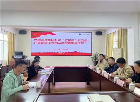 集團(tuán)公司檢查組到冶建基礎(chǔ)分公司開展五星級黨支部評星定級工作