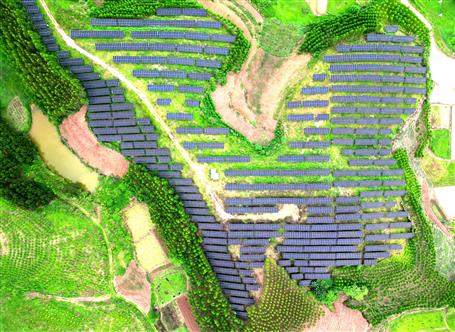 【錨定目標(biāo) 奮力沖刺】冶建基礎(chǔ)分公司寧明縣光伏項(xiàng)目有序推進(jìn)